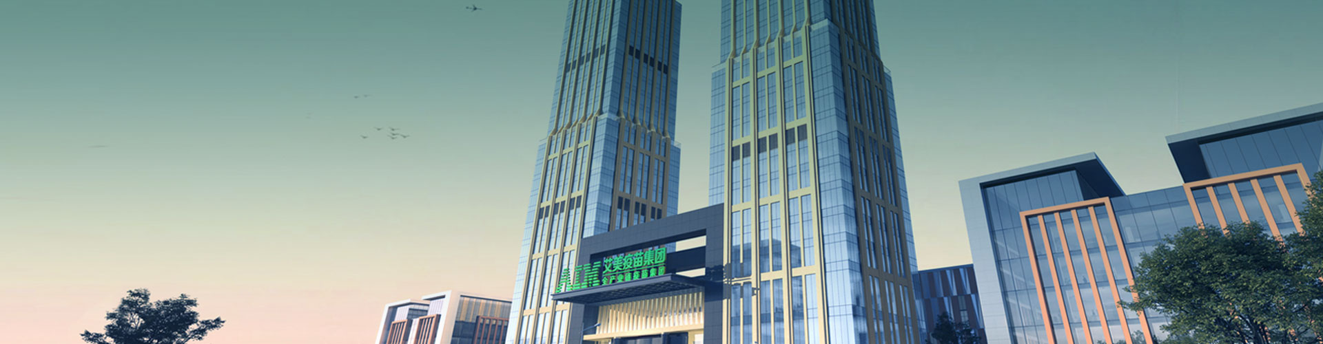 Patakaran sa Privacy